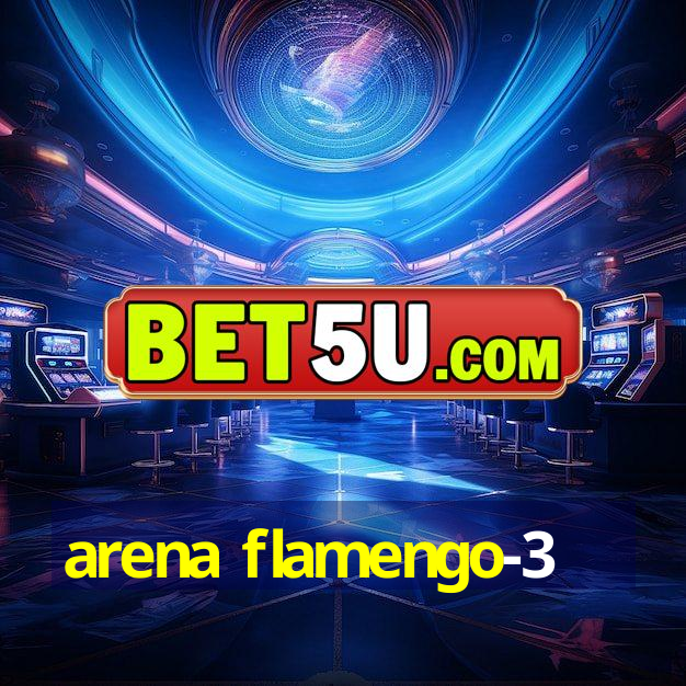 arena flamengo